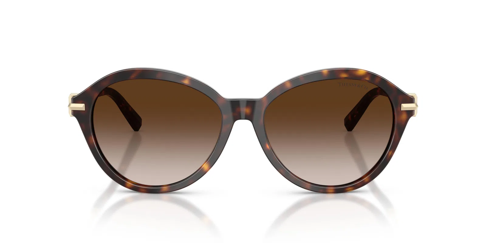Tiffany 4259 Sunglasses - view 14